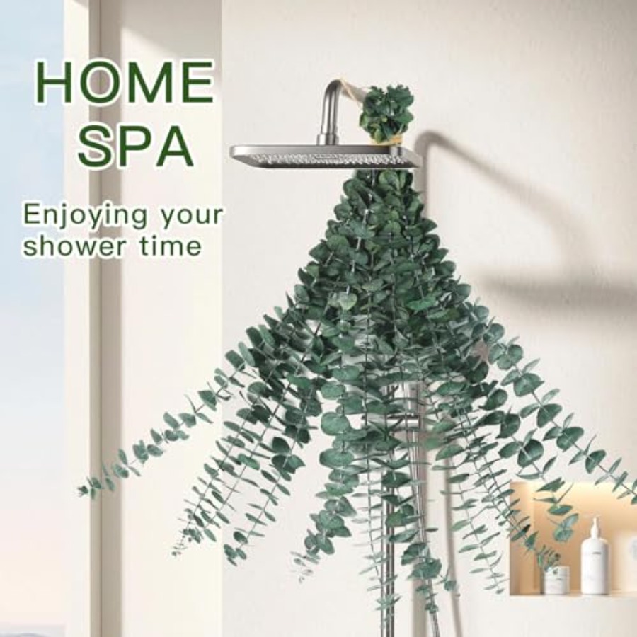 Dried Eucalyptus Stems for Sho - Home Fragrance Eucalyptus ulasan dan harga