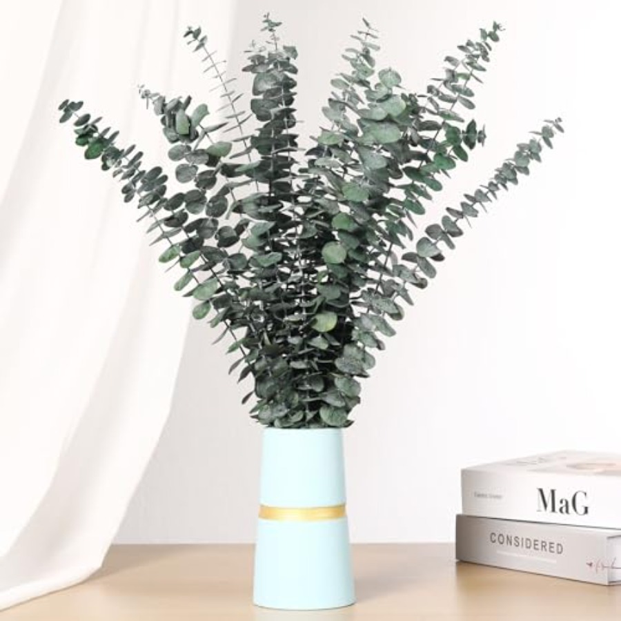 Dried Eucalyptus Stems for Sho - Home Fragrance Eucalyptus ulasan dan harga