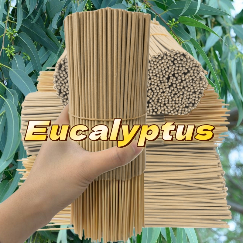 High-quality eucalyptus fragra - Home Fragrance Eucalyptus ulasan dan harga