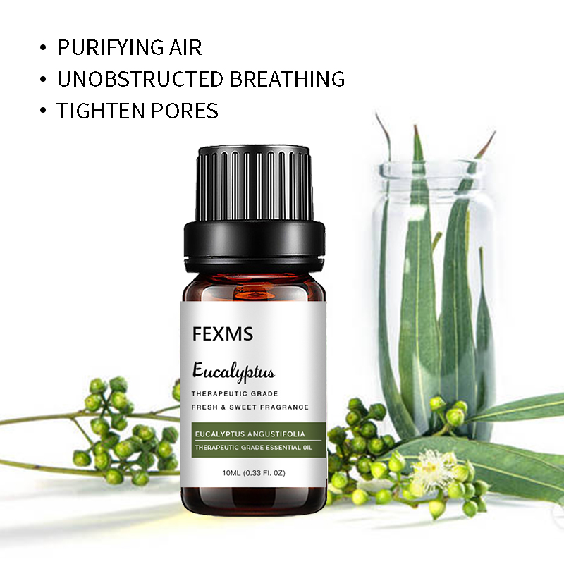 Eucalyptus Essential Oil (100% - Home Fragrance Eucalyptus ulasan dan harga