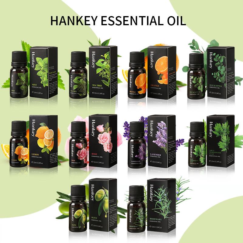 Aromatherapy Essential Oil 10m - Home Fragrance Eucalyptus ulasan dan harga