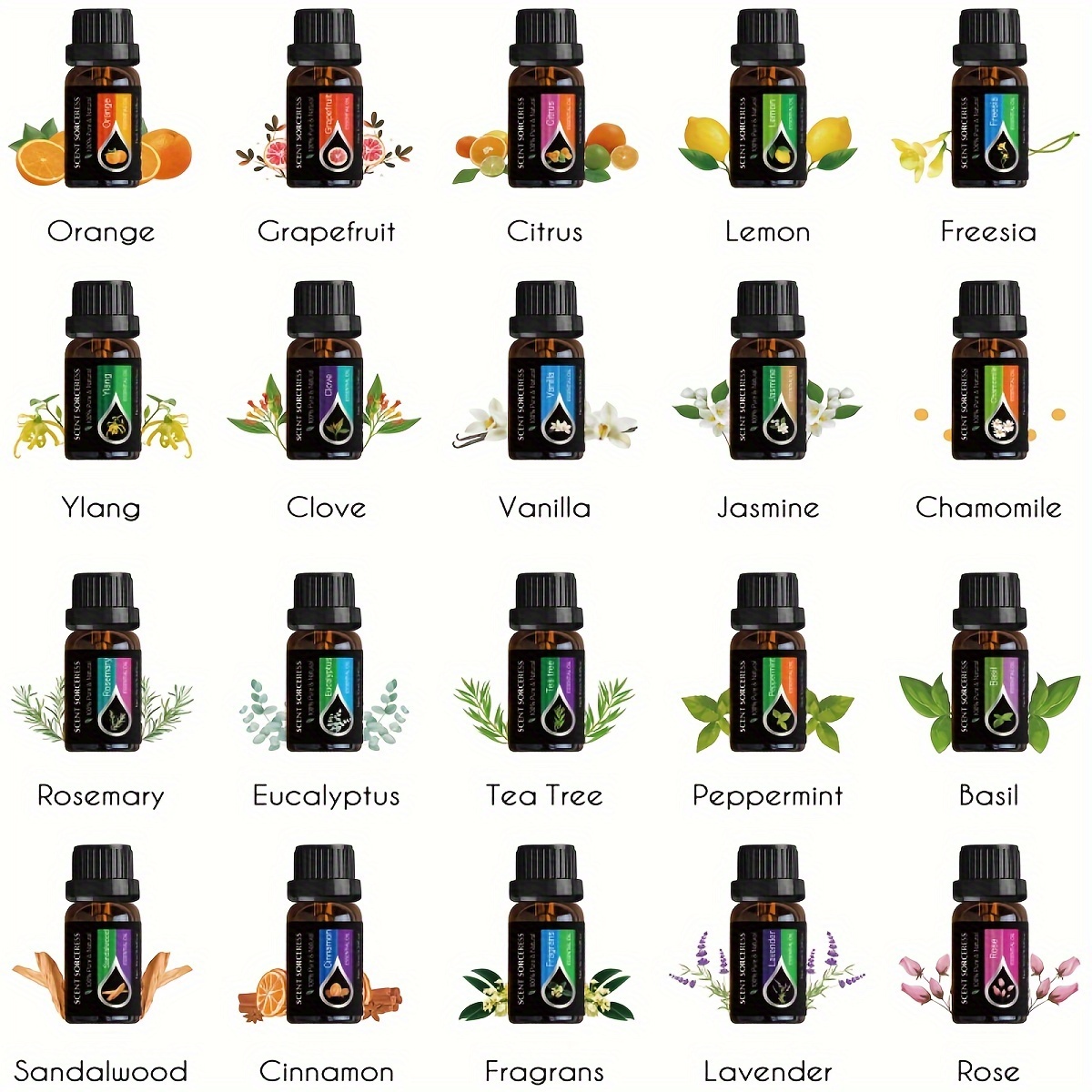 20Pcs/Set Classic Brand Essent - Home Fragrance Eucalyptus ulasan dan harga