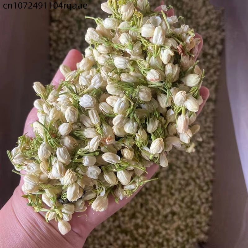 High-quality Natural Jasmine D - Home Fragrance Jasmine ulasan dan harga